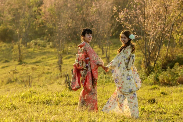 Par asiatiska kvinnor som bär traditionella japanska kimono och röd u Stockbild