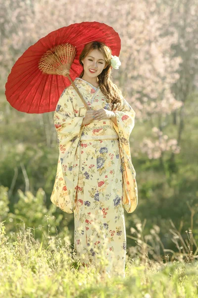 전통적인 일본 kimon 입고 매력적인 아시아 여자 — 스톡 사진