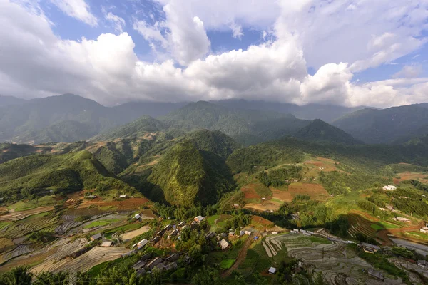 Pirinç tarlaları sapa bölgesinde, Lao Cai Eyaleti, Kuzeybatı Vietnam.