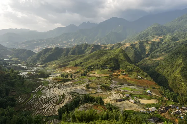 Pirinç tarlaları sapa bölgesinde, Lao Cai Eyaleti, Kuzeybatı Vietnam.