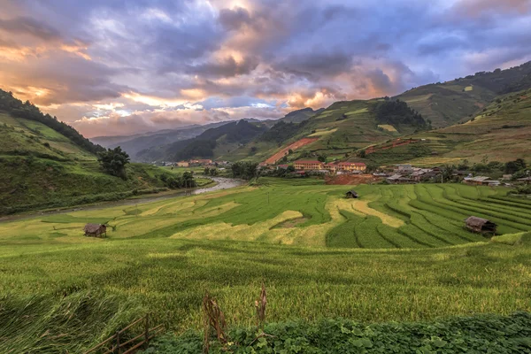 Gün batımında terasta pirinç tarlaları, Mu Cang Chai, Yenbai, Vietnam.