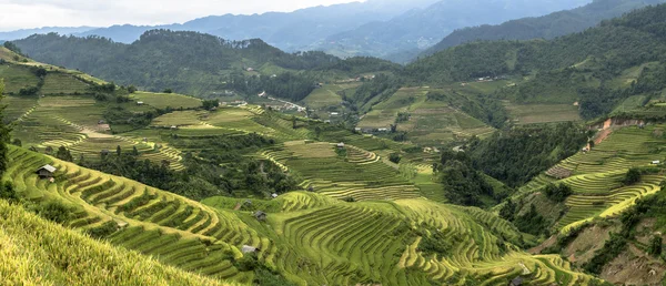 Pirinç terasları, Yenbai, Vietnam hakkında güzel manzaralar..