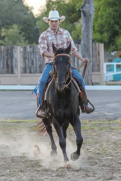 En cowboy ridning en häst i hans gård Stockbild