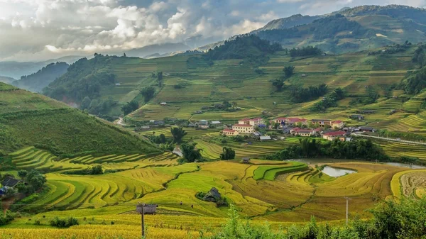 Pirinç tarlaları üzerinde Mu Cang Chai, Yenbai, Vietnam Teras. Kuzey Vietnam, hasat pirinç tarlaları hazırlamak