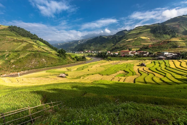 Vietnam'pirinç tarlaları teraslı — Stok fotoğraf