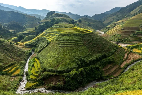 Risfälten på radhus i Vietnam — Stockfoto