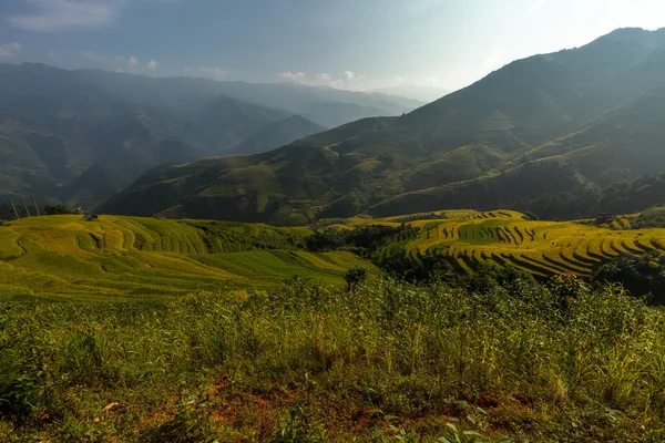 Vietnam'pirinç tarlaları teraslı — Stok fotoğraf