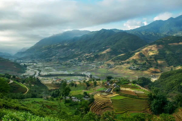 Sapa pirinç Teras, Vietnam