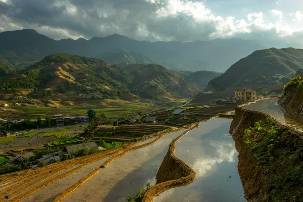 Sapa pirinç Teras, Vietnam