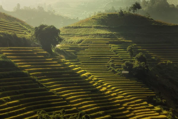 Günbatımı Mu cang chai, Kuzey Vietnam üzerinde.