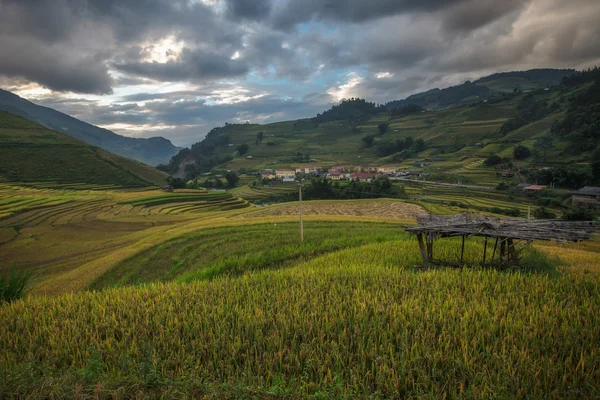 Mu Cang Chai, Yenbai, Vietnam pirinç tarlaları teraslı