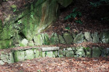 Ormandaki yeşil çardak. Yosun kaplı taşlar ve eski bir yosun kaplı bank.