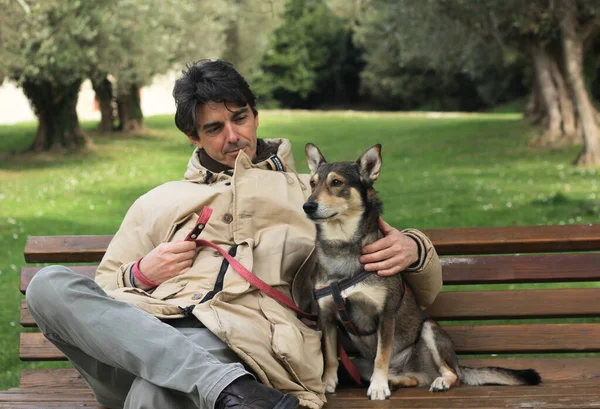 Yakışıklı bir adam bir köpek ile bankta oturuyor, bir parkın arka planına karşı. 