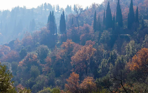 Belas Colinas Toscana Nebulosa Paisagem Matinal Uma Vista Onde Luz Imagem De Stock