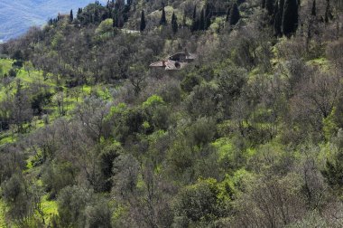 Baharda güneşli Toskana manzarası
