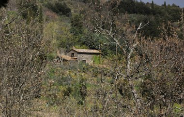 Baharda güneşli Toskana manzarası