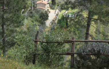 Baharda güneşli Toskana manzarası