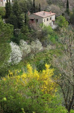 İlkbahar, açmakta olan Toskana 'da tarihi evler 