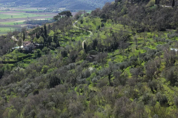 Sonnige Landschaft Der Toskana Frühling — Stockfoto