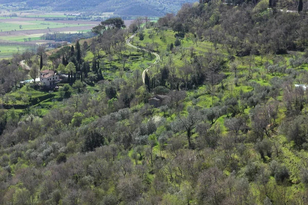 Sonnige Landschaft Der Toskana Frühling — Stockfoto