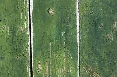 green wood background. wooden texture. natural grunge wallpaper