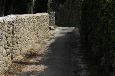 a vertical shot of a road in the middle of a stone wall