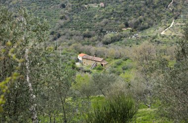 Eski şehirde göster 