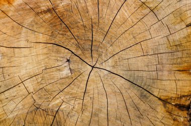 eski ahşap doku arkaplanı