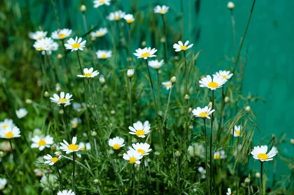 Графік відключення води
