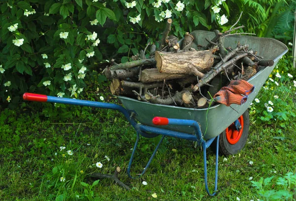 Garden Cart Loaded Wood Heating Fireplace — Stock Photo, Image