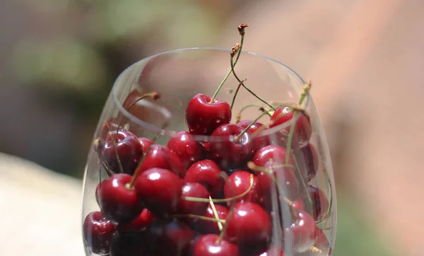 Glass Wine Goblet Filled Lots Cherries Blurred Light Background — Stock Photo, Image