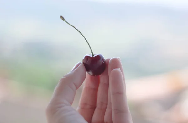 kırmızı bir kiraz tutan emale parmaklar ışık bulanık arka plan ile çevrili 
