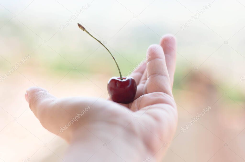 one red cherry lying on a woman's palm surrounded by a light blurred background 