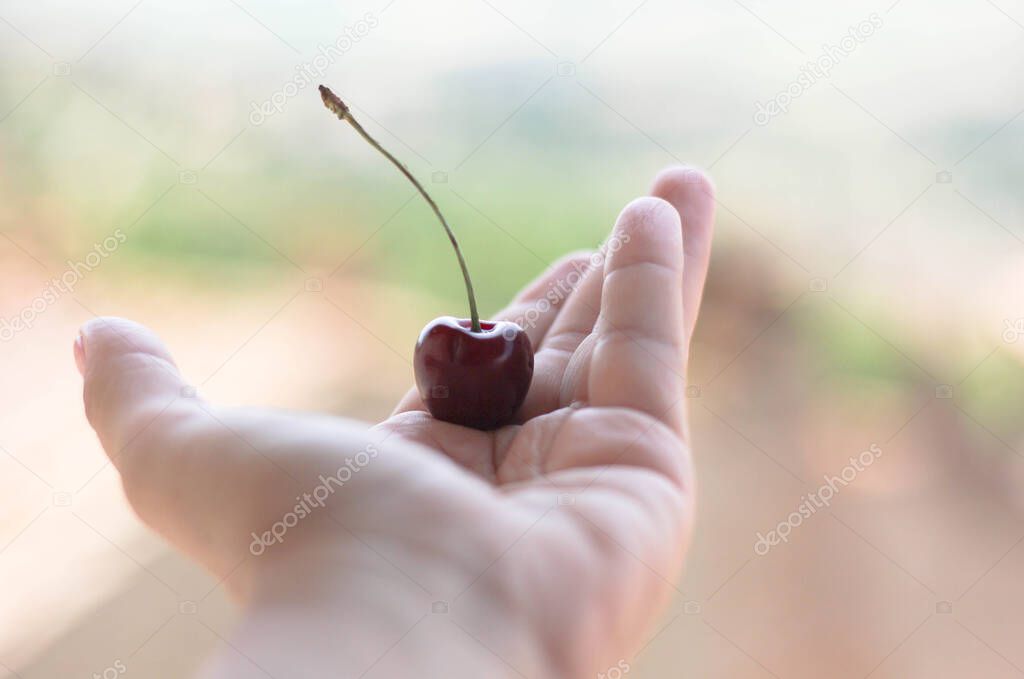 one red cherry lying on a woman's palm surrounded by a light blurred background 