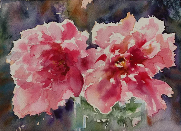 Akvarell Rózsaszín Bazsarózsa Egy Vázában Körülvéve Sötét Homályos Háttér Stock Kép