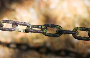 Bulanık park arka planında yosun kaplı klasik metal zincirler. 