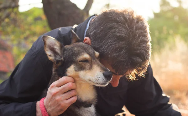 happy muzzle of a dog sitting next to the owner, surrounded by the blurry rays of a sunny sunset