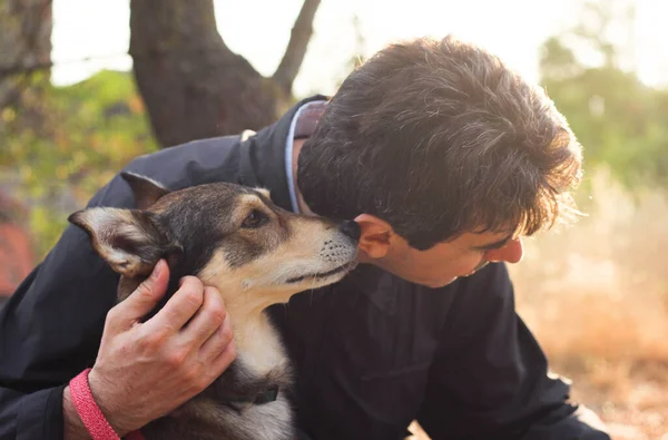 Güneşli bir günbatımının bulanık ışınlarıyla çevrili, sahibinin yanında oturan köpeğin mutlu ağızlık sesi. 