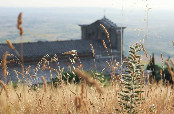 Mittelalterliche Kathedrale Der Heiligen Margarete Cortona Toskana Umgeben Von Toskanischer — Stockfoto