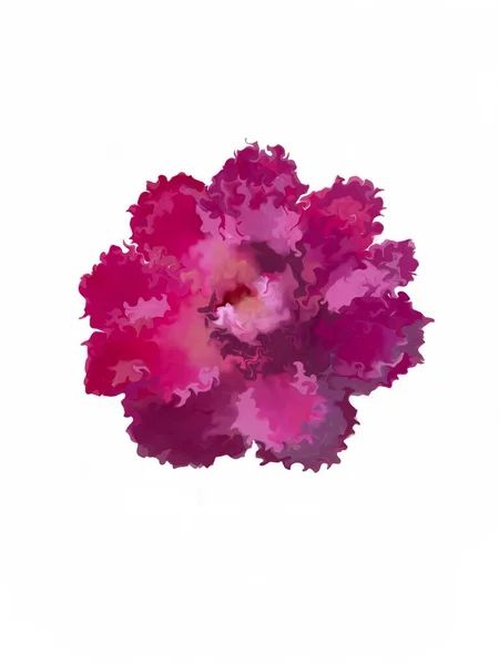 Beyaz arkaplanda pembe çiçekli resimler. 