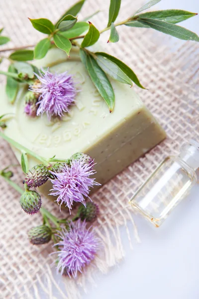 Aromaterapi ve spa beyaz bir arka plan üzerinde için aksesuarlar