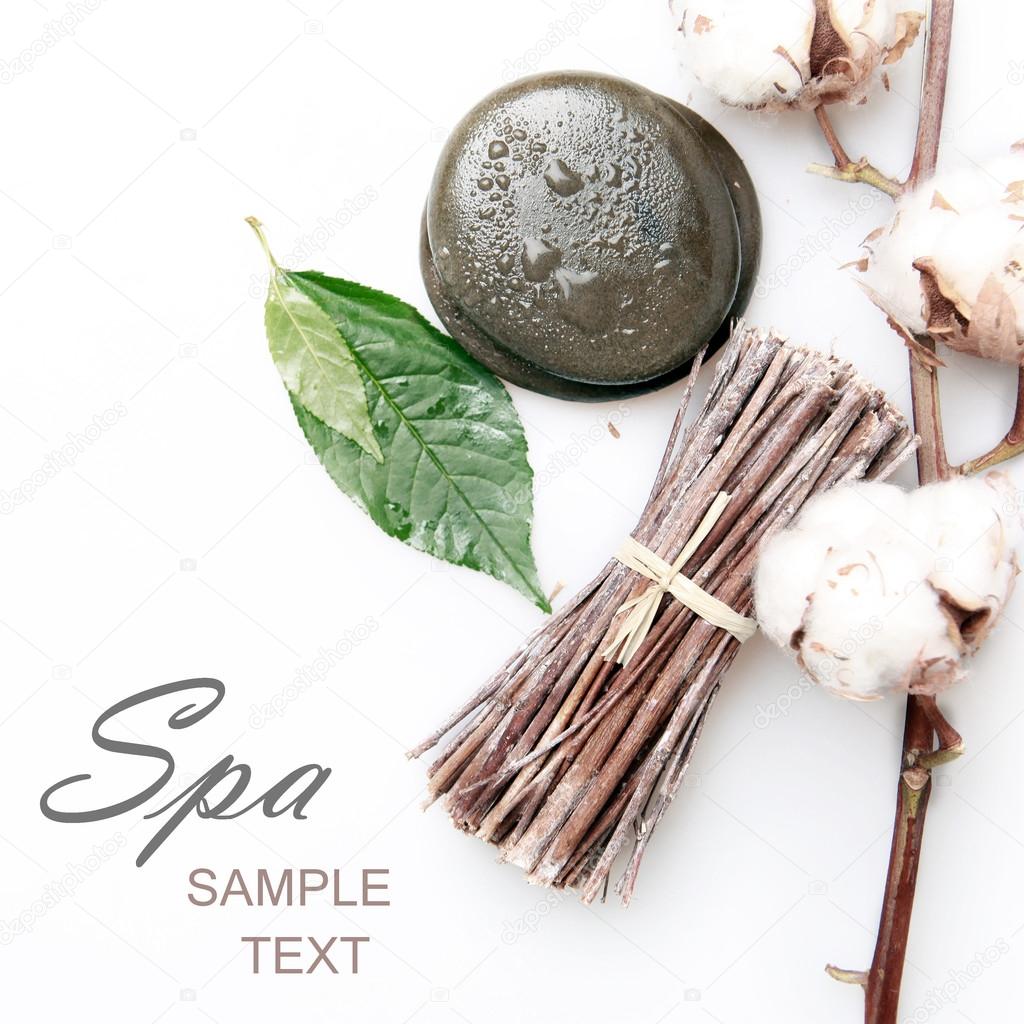 aromatherapy, and accessories for the spa on a white background