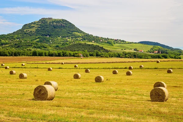 Hay bales at the foot of Badacsony mountains in Hungary — Stock Photo, Image