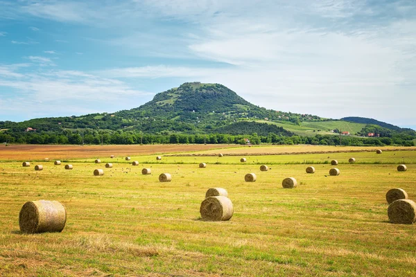 Field of hay bale at the foot of the mountain — Stock Photo, Image