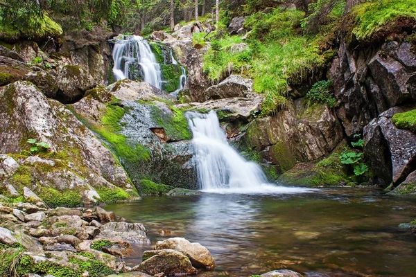 Bella cascata nella lussureggiante foresta verde — Foto Stock