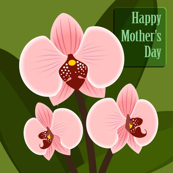 Buona festa della mamma. Scheda con orchidea . — Vettoriale Stock