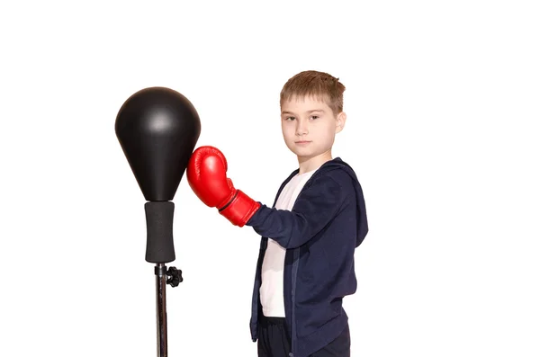 Niño pequeño con guantes de boxeo sobre fondo blanco — Foto de Stock