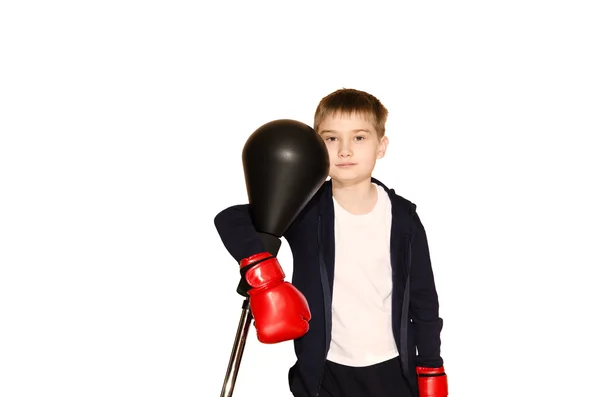 Niño pequeño con guantes de boxeo sobre fondo blanco — Foto de Stock