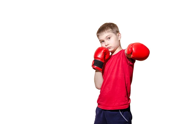 Niño pequeño con guantes de boxeo sobre fondo blanco — Foto de Stock