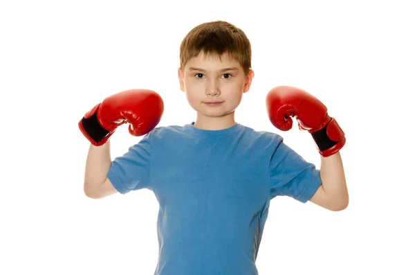 Niño pequeño con guantes de boxeo sobre fondo blanco — Foto de Stock